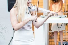 Bluebird Chelsea - Holly Clark Phototography